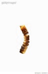 640058274 | 게티이미지코리아 | Single curly fry Royalty-Free 이미지