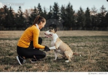 649351350 | 게티이미지코리아 | Cheerful woman holding dog by his paw Royalty-Free 이미지