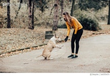 649359470 | 게티이미지코리아 | Good dog! Give me your paw. Royalty-Free 이미지