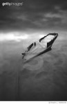 702601939 | 게티이미지코리아 | Abandoned Boat In Lake Against Cloudy Sky Royalty-Free 이미지