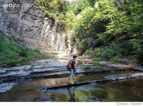 702609699 | 게티이미지코리아 | Side View Of Man Walking On Stream In Forest Royalty-Free 이미지