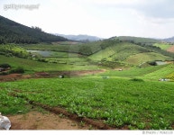 702621135 | 게티이미지코리아 | Scenic View Of Grassy Field Against Sky Royalty-Free 이미지