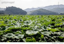 702630383 | 게티이미지코리아 | Landscape With Mountains In Background Royalty-Free 이미지