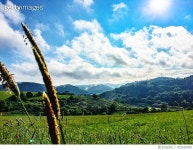 702630785 | 게티이미지코리아 | Scenic View Of Grassy Field Against Cloudy Sky Royalty-Free 이미지