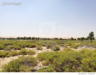 702661411 | 게티이미지코리아 | View Of Landscape Against Clear Sky Royalty-Free 이미지