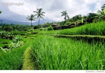 702664765 | 게티이미지코리아 | Scenic View Of Field Against Cloudy Sky Royalty-Free 이미지