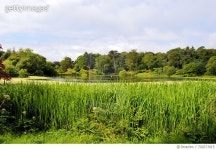 702673915 | 게티이미지코리아 | Scenic View Of Grassy Field Against Cloudy Sky Royalty-Free 이미지