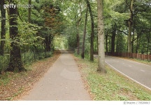 705208813 | 게티이미지코리아 | Empty Roads Amidst Trees Royalty-Free 이미지