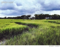 705226913 | 게티이미지코리아 | Scenic View Of Grassy Field Against Cloudy Sky Royalty-Free 이미지
