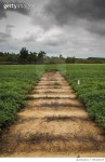 705236679 | 게티이미지코리아 | Scenic View Of Field Against Cloudy Sky Royalty-Free 이미지