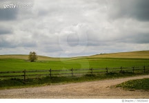705256443 | 게티이미지코리아 | Scenic View Of Grassy Field Against Cloudy Sky Royalty-Free 이미지