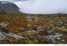 705256869 | 게티이미지코리아 | Scenic View Of Landscape Against Sky Royalty-Free 이미지