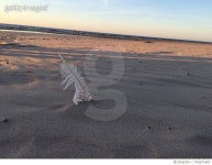 705271487 | 게티이미지코리아 | Scenic View Of Sea Against Sky Royalty-Free 이미지