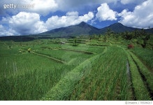 705296217 | 게티이미지코리아 | Scenic View Of Field Against Cloudy Sky Royalty-Free 이미지