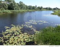 705296473 | 게티이미지코리아 | Lake With Trees In Background Royalty-Free 이미지