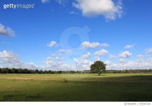 705307241 | 게티이미지코리아 | Scenic View Of Grassy Field Against Cloudy Sky Royalty-Free 이미지