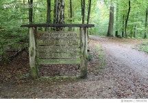 벤치 포레스트(Bench forest) | 705310781 | 게티이미지코리아 | Empty Bench On Footpath In Forest Royalty-Free 이미지