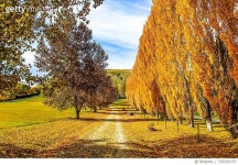 705325157 | 게티이미지코리아 | Scenic View Of Field Against Cloudy Sky Royalty-Free 이미지