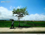 705348117 | 게티이미지코리아 | Side View Of Man With Umbrella Walking On Footpath Against Sky Royalty-Free 이미지