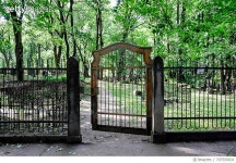 707559031 | 게티이미지코리아 | Old Gate And Fence Of Graveyard Royalty-Free 이미지