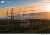709207593 | 게티이미지코리아 | Scenic View Of Landscape Against Sky During Sunset Royalty-Free 이미지