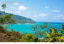 709213361 | 게티이미지코리아 | Plants Growing By Caribbean Sea Against Sky Royalty-Free 이미지