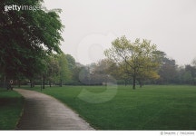 709226041 | 게티이미지코리아 | Empty Footpath By Grassy Field At Park Royalty-Free 이미지