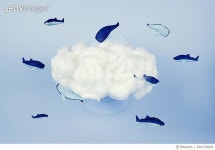 641159664 | 게티이미지코리아 | Whales around the cloud Royalty-Free 이미지