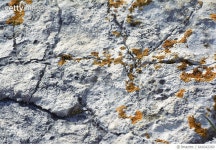 641642260 | 게티이미지코리아 | Stone background Royalty-Free 이미지