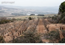 643185190 | 게티이미지코리아 | Rural landscape with snow capped mountains Royalty-Free 이미지