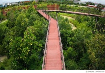 643966428 | 게티이미지코리아 | Nature forest walkway for relax and travel. Royalty-Free 이미지