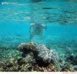 645415798 | 게티이미지코리아 | Senior Man Snorkeling Over A Royalty-Free 이미지