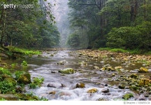 656855134 | 게티이미지코리아 | The scenery of Zhangjiajie China——Jinbian Stream Royalty-Free 이미지