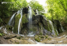 657623878 | 게티이미지코리아 | Cascade falls over mossy rocks in forest Royalty-Free 이미지