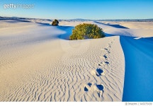 643275430 | 게티이미지코리아 | Silicon white sand dunes of White Sands National Monument,New Mexico,USA Rights-Managed 이미지