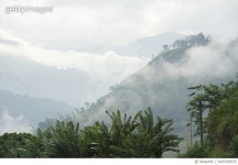 649769976 | 게티이미지코리아 | Hill country scenery, Ella, Sri Lanka Rights-Managed 이미지