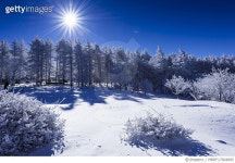 MBRF17004895 | 게티이미지코리아 | 만항재,함백산,강원도 Royalty-Free 이미지