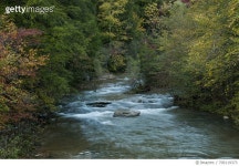 709119373 | 게티이미지코리아 | Stream flowing during autumn. Rights-Managed 이미지