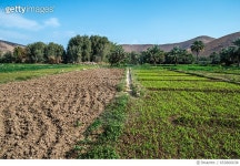 653866638 | 게티이미지코리아 | End of irrigation system Rights-Managed 이미지