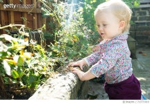 713771019 | 게티이미지코리아 | Baby girl leaning on wall looking at plants Royalty-Free 이미지