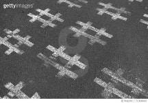 713848447 | 게티이미지코리아 | High Angle View Of Road Markings On Street Royalty-Free 이미지