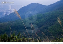 713890593 | 게티이미지코리아 | Scenic View Of Mountains Against Sky Royalty-Free 이미지