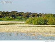 713966831 | 게티이미지코리아 | Scenic View Of Farm Against Clear Sky Royalty-Free 이미지