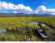 713970511 | 게티이미지코리아 | Scenic View Of Agricultural Field Against Sky Royalty-Free 이미지