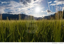 713985997 | 게티이미지코리아 | Scenic View Of Landscape Against Sky Royalty-Free 이미지