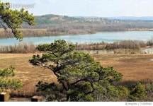 713995463 | 게티이미지코리아 | Tree By Lake Against Sky Royalty-Free 이미지