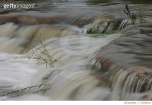 713999903 | 게티이미지코리아 | Close-Up Of Stream Royalty-Free 이미지