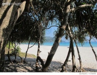 717268301 | 게티이미지코리아 | Trees On Beach Royalty-Free 이미지