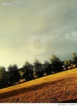 717292475 | 게티이미지코리아 | Trees On Field Against Cloudy Sky Royalty-Free 이미지