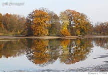 717295939 | 게티이미지코리아 | Reflection Of Trees In Lake Against Sky Royalty-Free 이미지
